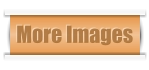 More Images