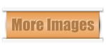 More Images